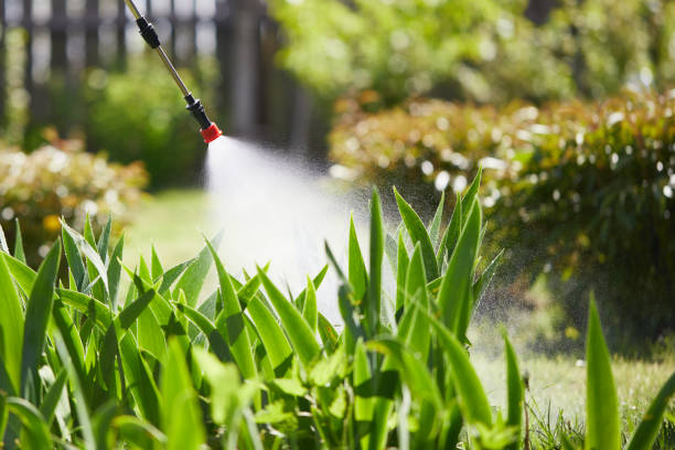 24/7 Emergency Mosquito Control experts in Marks, MS