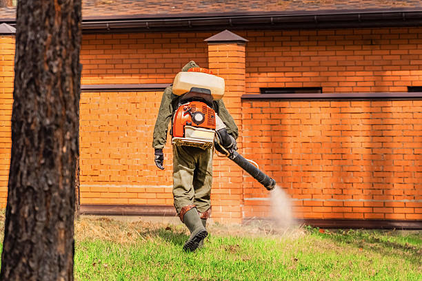 Top rated local Mosquito Control specialists in Marks, MS